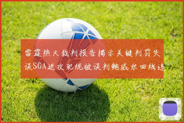 雷霆热火裁判报告揭示关键判罚失误SGA进攻犯规被误判鲍威尔回线违例未被吹罚