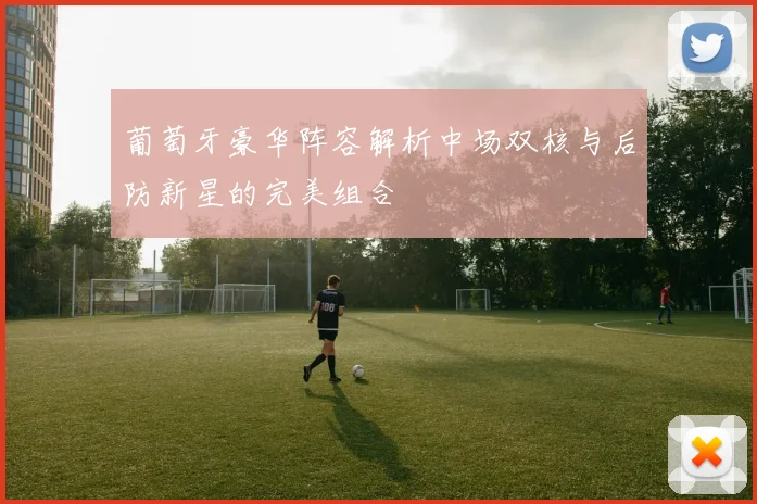 葡萄牙豪华阵容解析中场双核与后防新星的完美组合