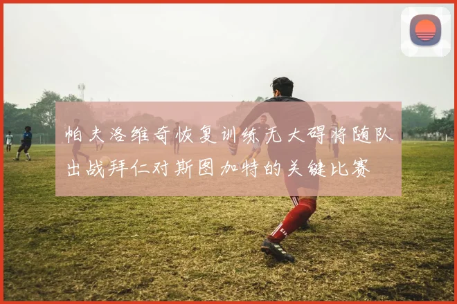 帕夫洛维奇恢复训练无大碍将随队出战拜仁对斯图加特的关键比赛