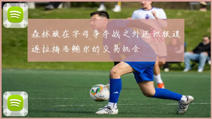 森林狼在字母争夺战之外还积极追逐拉梅洛鲍尔的交易机会