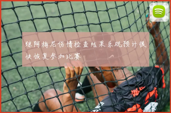 琼阿梅尼伤情检查结果乐观预计很快恢复参加比赛