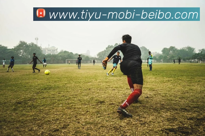 贝博体育APP 封面图